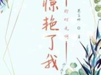 情何以堪广播剧,广播剧中的爱恨纠葛与命运抉择