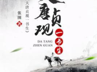 大唐贞观一书生,一书生与大唐盛世的传奇际遇