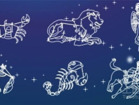 星座生肖配对,揭秘爱情与命运的神秘联系