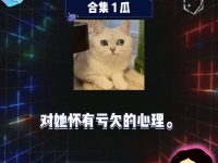 娱乐吃瓜娱乐,吃瓜群众的热门话题大盘点