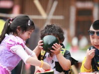 娱乐综艺吃瓜,揭秘娱乐圈幕后故事