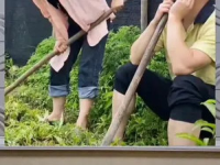 吃瓜群众娱乐八卦,吃瓜群众揭秘明星幕后故事