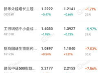 基金净值查询,全面了解基金投资价值与走势