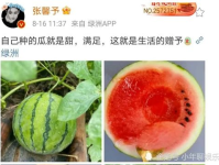 娱乐圈有什么瓜可以吃吗,揭秘明星幕后故事与热点事件