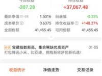 160706基金,揭秘投资潜力与市场动态