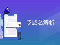 泛域名,轻松实现海量子域名管理及SEO优化策略