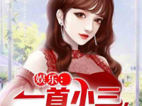 娱乐圈小说小三,娱乐圈小三的逆袭之路