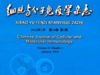 免疫学杂志,探索免疫机制与疾病防治新篇章