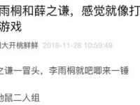 娱乐吃瓜笔记,吃瓜笔记背后的精彩故事