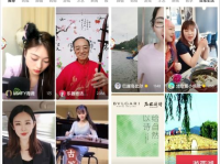 娱乐圈吃瓜冰雨直播视频,一场吃瓜盛宴