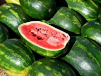 娱乐吃瓜背景模板图高清,揭秘高清背景图背后的吃瓜盛宴