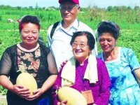 娱乐吃瓜教授,吃瓜教授带你领略明星幕后故事