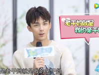 娱乐圈吃瓜吴磊是谁啊,揭秘吴磊的星光之路